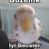 zzz